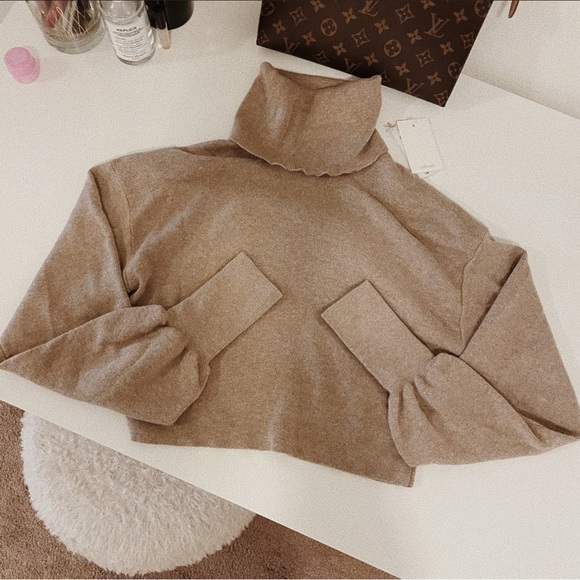 Aritzia Wilfred Rebecca Turtleneck - Picture 14 of 14